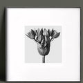 Decoration: Old Impression Wall Art, 40*40 cm-Le Di Vita-4- | Le Di Vita